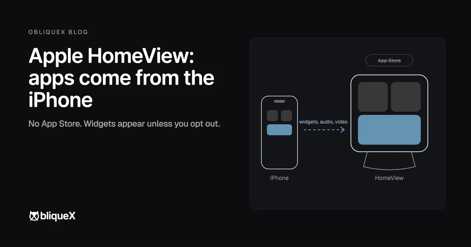A diagram: widgets, audio and video apps travel from an iPhone to the square HomeView screen; the App Store is crossed out.